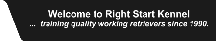 Jim VanEngen Welcome to Right Start Kennel ...  training quality working retrievers since 1990.